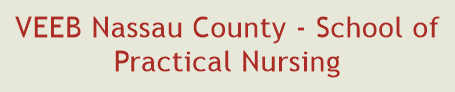 VEEB Nassau County - School of Practical Nursing
